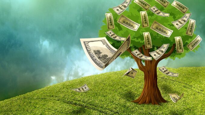 cash-invest_tree_1920-678x381